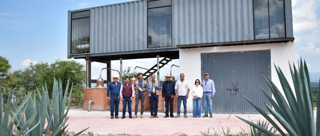 Calvillo le pone su propio sabor al Mezcal de Aguascalientes