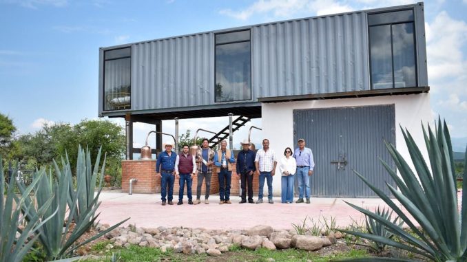Calvillo le pone su propio sabor al Mezcal de Aguascalientes