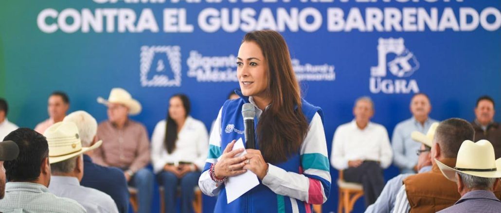Pequeños productores reciben apoyos para proteger su ganado del gusano barrenador
