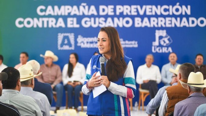 Pequeños productores reciben apoyos para proteger su ganado del gusano barrenador