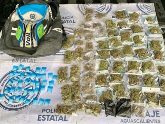 Policías del Mando Coordinado lograron el aseguramiento de más de 30 envoltorios de sustancia granulada y 60 de hierba verde seca en el Municipio de Calvillo