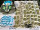 Policías del Mando Coordinado lograron el aseguramiento de más de 30 envoltorios de sustancia granulada y 60 de hierba verde seca en el Municipio de Calvillo