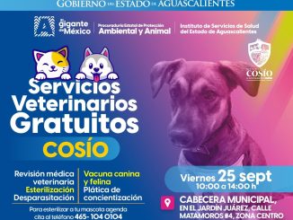 🐶🐱 ¡Cosío, esta invitación es para tu perrito o gatito!