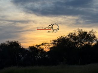 Buen Día...!!