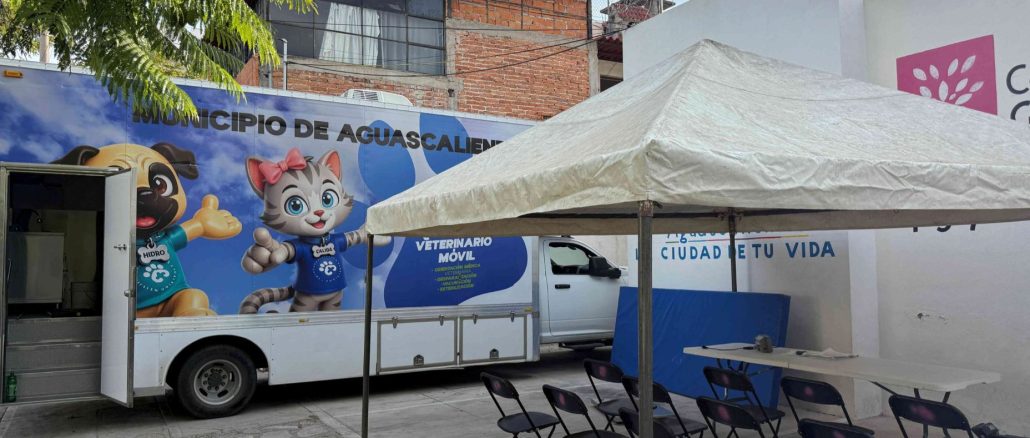 Municipio e ISSEA realizarán Jornadas de Esterilización en San Pedro Cieneguilla y Mirador de las Culturas
