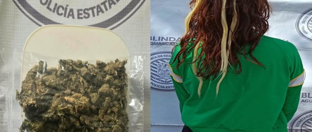 Policías del Mando Coordinado detuvieron en el Municipio de Asientos a Mujer en poder de bolsa con hierba verde al parecer marihuana