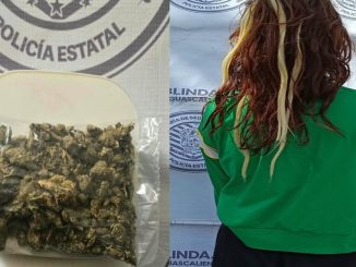 Policías del Mando Coordinado detuvieron en el Municipio de Asientos a Mujer en poder de bolsa con hierba verde al parecer marihuana