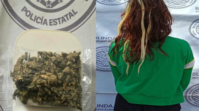 Policías del Mando Coordinado detuvieron en el Municipio de Asientos a Mujer en poder de bolsa con hierba verde al parecer marihuana