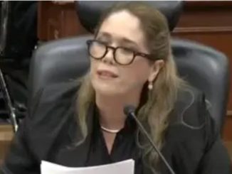 Consejera del INE que propuso mecanismo sobre boletas planchadas denuncia amenazas graves contra ella y su familia