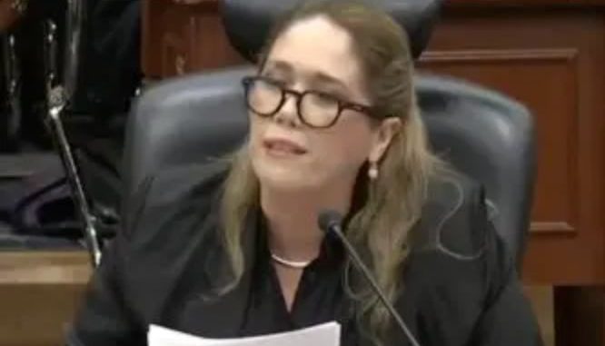 Consejera del INE que propuso mecanismo sobre boletas planchadas denuncia amenazas graves contra ella y su familia