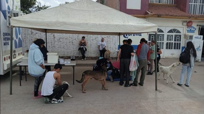 Realizarán Municipio e ISSEA esterilizaciones de mascotas en Norias de Paso Hondo y colonia Gremial