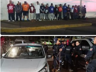 Policía Municipal del Destacamento Morelos y Grupo K9 detienen a 17 personas por faltas administrativas