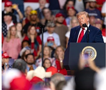 Trump llama "gordo" a un manifestante mientras es expulsado a goles de su mitin