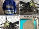 En poder de motocicleta con reporte de robo vigente y sustancia granulada al parecer cristal, fue detenido sujeto por Elementos del Mando Coordinado en el municipio de Pabellón de Arteaga