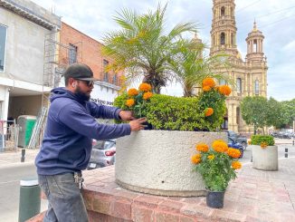 Municipio de Aguascalientes coloca miles de flores de cempasúchil en Conmemoración al Día de Muertos