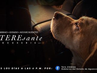No te pierdas la Docu Serie "inTEREsante" donde estaré platicando contigo sobre mi Día a Día