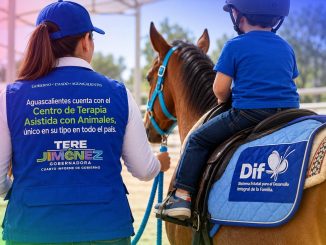 Centro de Terapia Asistida del DIF Estatal🐴🐶❤️