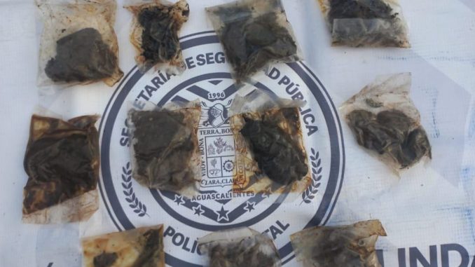 Policías del Mando Coordinado aseguran en Rincón de Romos 11 bolsas con hierba verde al parecer marihuana