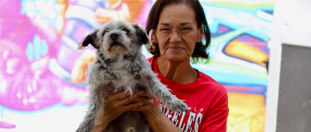 Este sábado, el Jardín de San Marcos se vuelve Pet Friendly