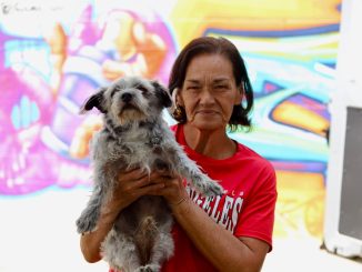Este sábado, el Jardín de San Marcos se vuelve Pet Friendly