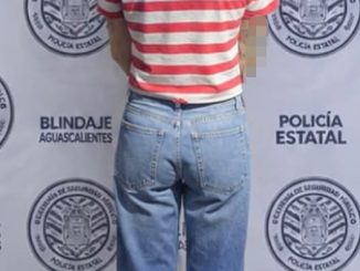 Policías Estatales detuvieron a una mujer que tenía en su poder envoltorios con hierba verde al parecer marihuana