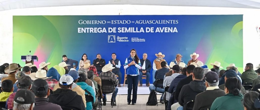 Tere Jiménez apoya a productores de todos los municipios con semilla de avena para alimentar a su ganado