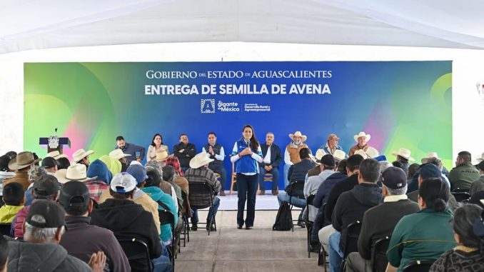 Tere Jiménez apoya a productores de todos los municipios con semilla de avena para alimentar a su ganado
