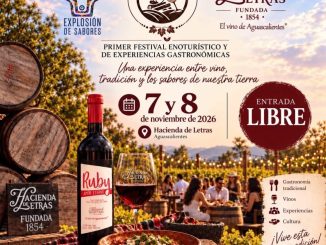 🍷🍇 ¡Vinos, sabores y tradiciones te esperan en Aguascalientes!