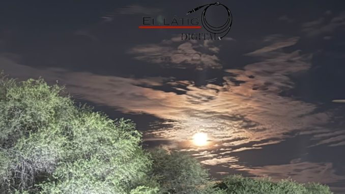 Buen Día...!!