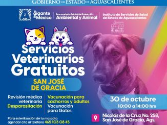 Servicios veterinarios gratuitos en San José de Gracia